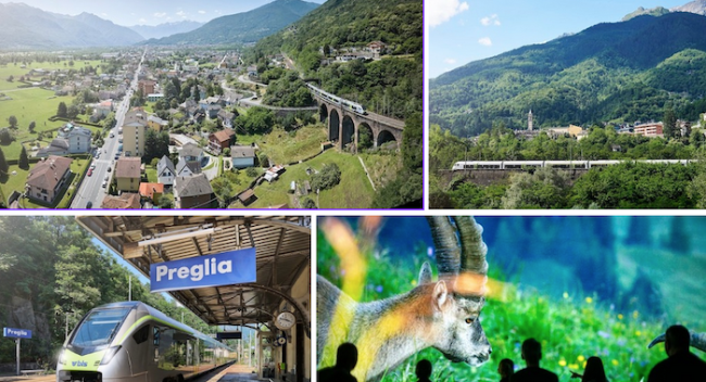 Mit dem grünen BLS-Zug zum World Nature Forum: eine Reise durch die Alpen