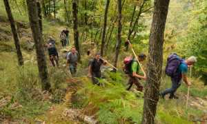 309613129 399281462368134 1734187057601102586 n