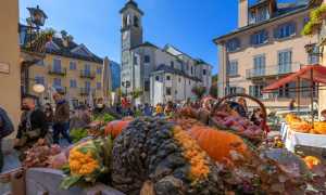 387752233 704796395009135 1529589707975497226 n