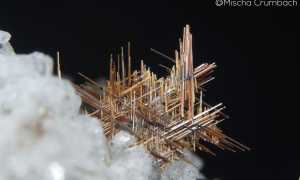 Mischa Crumbach Micromeraviglie1