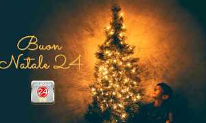 PHOTO 2024 12 24 16 33 01