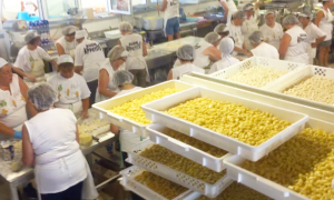 Schermata 2019 08 01 alle 15.21.30