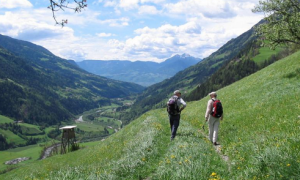 Schermata 2019 08 06 alle 11.28.46