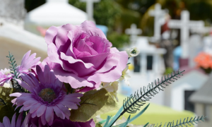 Schermata 2019 08 24 alle 10.11.33