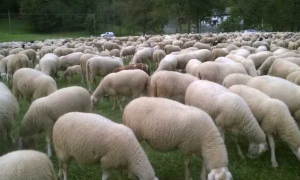 Schermata 2019 09 27 alle 13.38.21