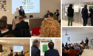 Schermata 2019 10 23 alle 18.15.49