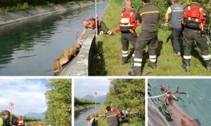 Schermata 2019 10 23 alle 18.17.38