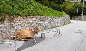 Schermata 2019 10 30 alle 17.49.16