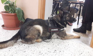 Schermata 2019 12 12 alle 13.21.53