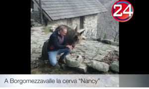 Schermata 2020 01 03 alle 14.23.48