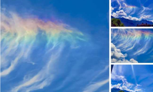 Schermata 2020 07 13 alle 10.54.52