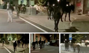 Schermata 2020 08 07 alle 08.13.47