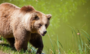 Schermata 2020 09 24 alle 16.19.37