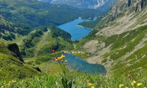 Schermata 2020 09 26 alle 11.49.16