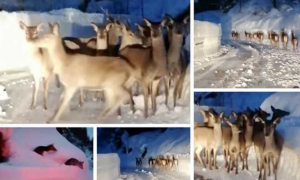 Schermata 2020 12 14 alle 15.36.42