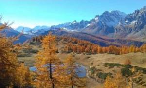 Schermata 2021 01 09 alle 15.18.49