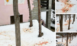 Schermata 2021 01 18 alle 14.37.42