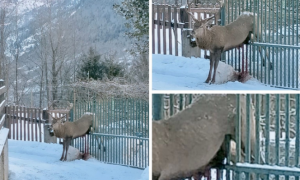 Schermata 2021 02 06 alle 10.01.33