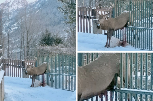 Schermata 2021 02 06 alle 10.01.33