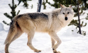 Schermata 2021 02 23 alle 15.34.10