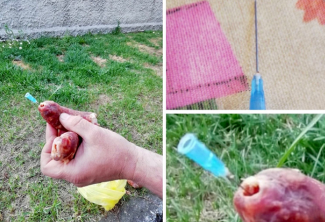 Schermata 2021 04 03 alle 16.37.34