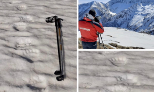 Schermata 2021 04 11 alle 13.29.47