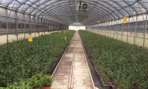 Schermata 2021 08 16 alle 09.22.00