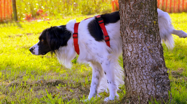 Schermata 2021 11 01 alle 10.24.57