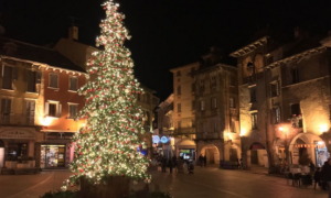 Schermata 2021 11 15 alle 14.26.03