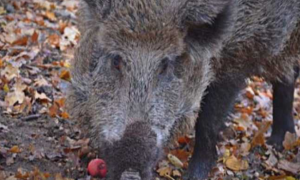 Schermata 2022 01 18 alle 15.28.44