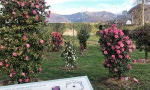 Schermata 2023 03 31 alle 15.49.37