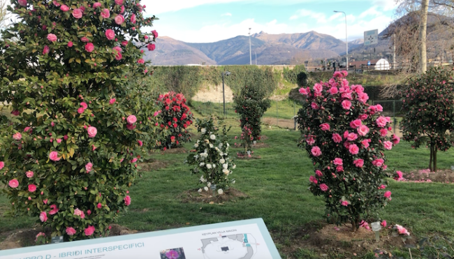 Schermata 2023 03 31 alle 15.49.37