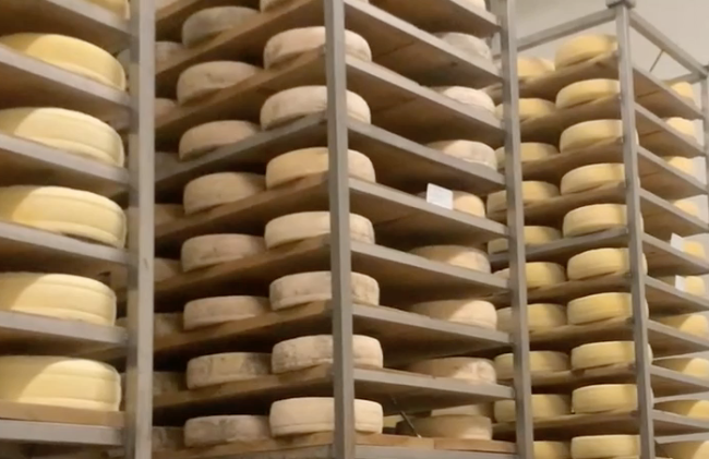 Schermata 2024 06 17 alle 12.17.36