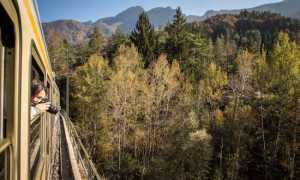 Treno del Foliage Ferrovia Vigezzina Centovalli ph. Giovanni Tagini 8