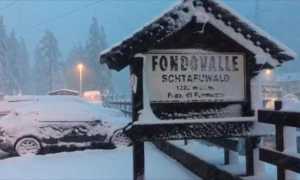 WhatsApp Image 2018 10 30 at 08.43.00 