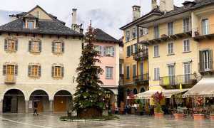 albero natale domo 2018