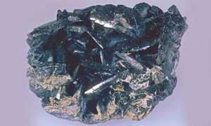 allanite quarzo alpeveglia