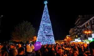 arona albero natale