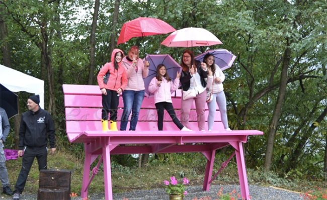 banchina rosa gigante anzasca ceppo