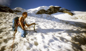 berardi walter nordent rosa