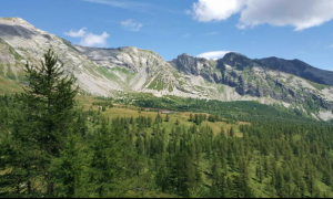 bognanco monscera valle estate