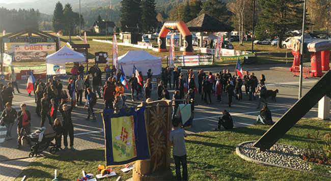 canicross 2017 IMG 6008