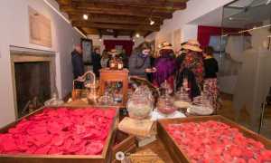 casa profumo vigezzo fiori gente