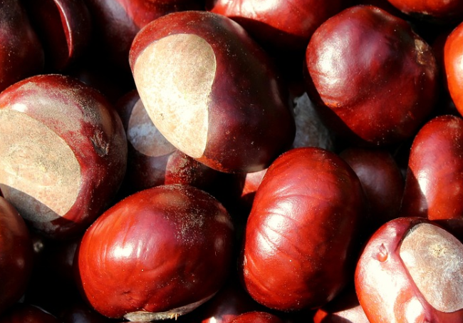 castagne