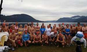 cimento merla omegna