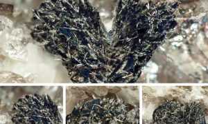 deveroite minerale mix 19