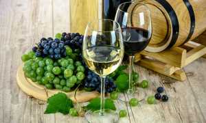 festa uva borgomanero