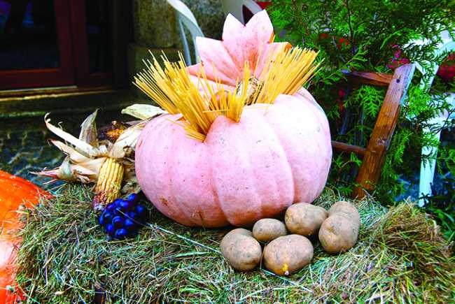 fiori di zucca vigezzo