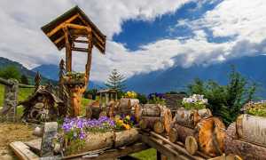 fiori sull acqua crodo