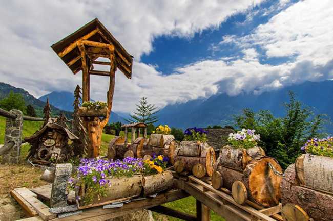 fiori sull acqua crodo